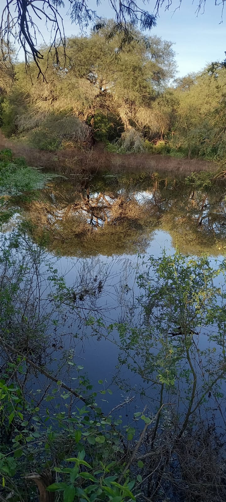 Galería CHACO