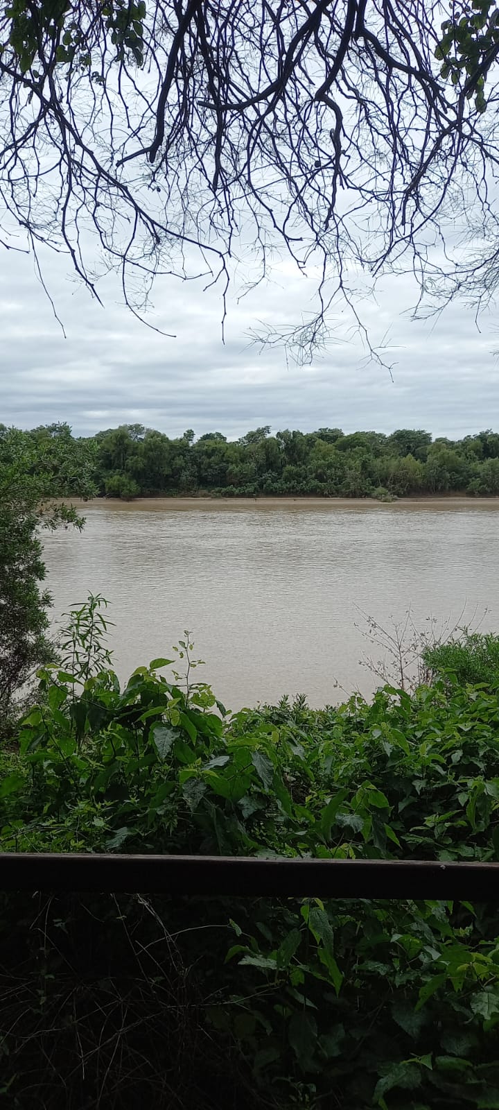 Galería CHACO