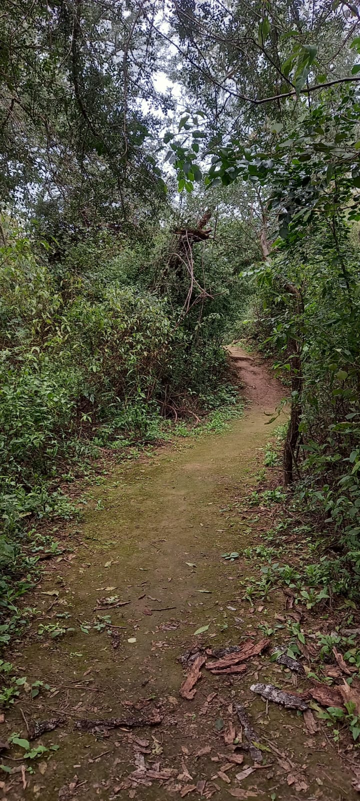 Galería CHACO