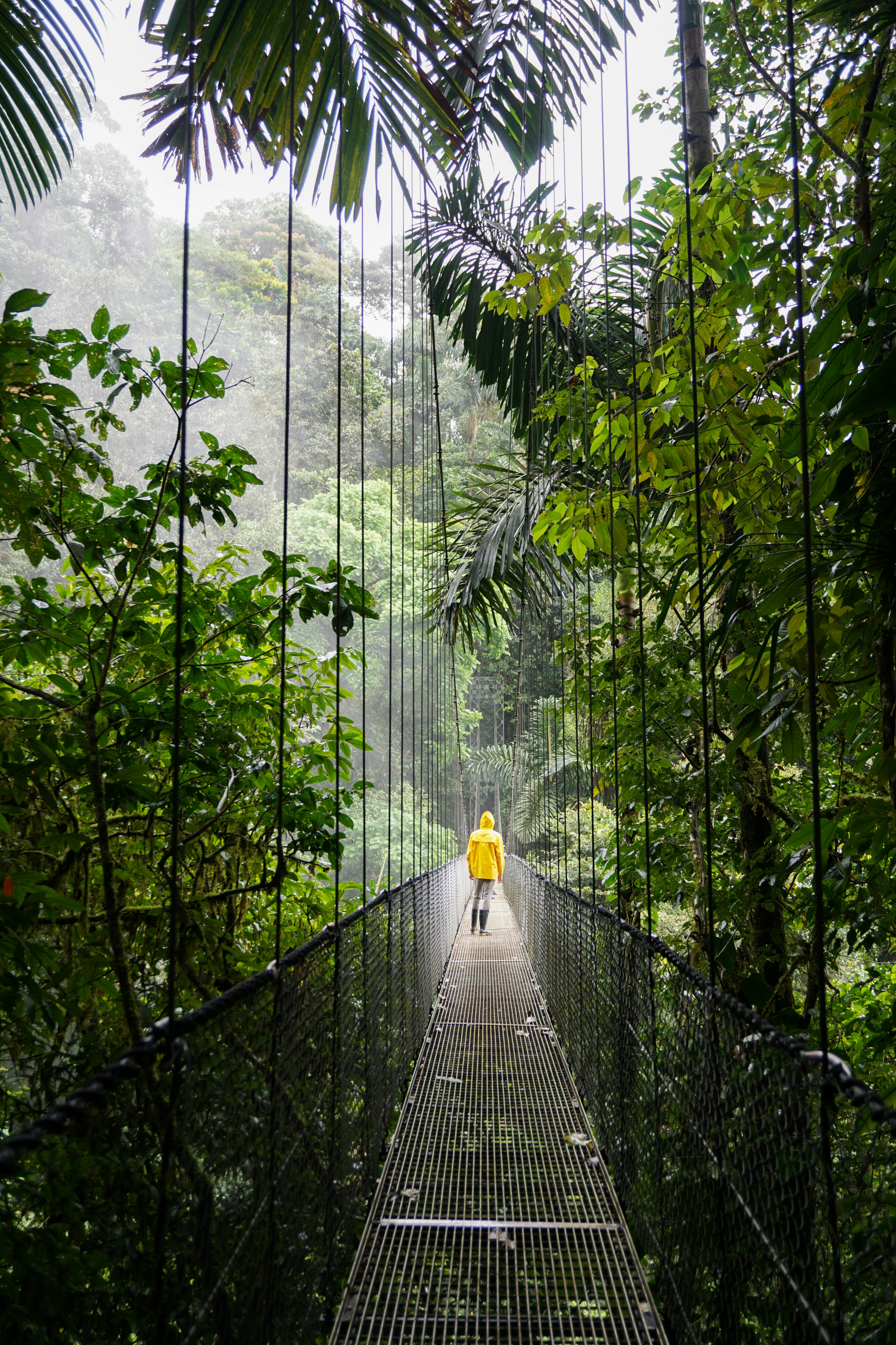 Galería COSTA RICA