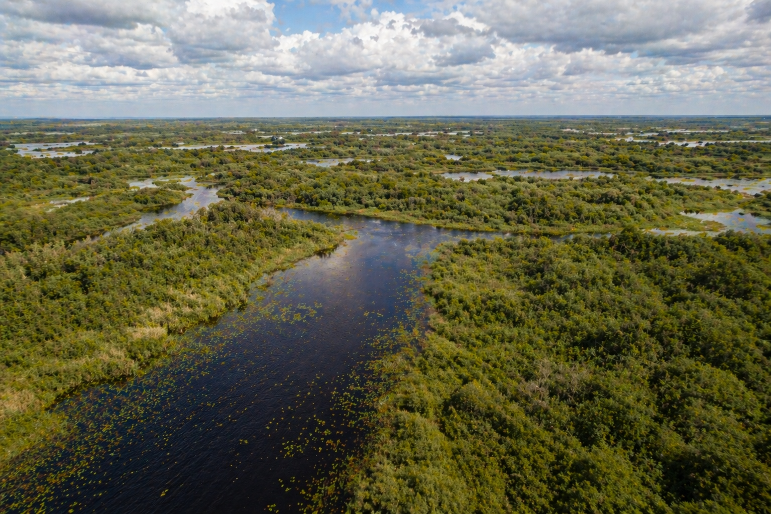 Imagen del paquete: ESTEROS DEL IBERÁ